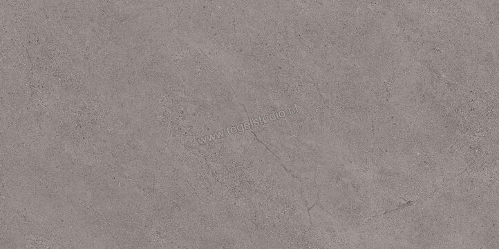 Margres Concept Grey 45x90 cm Vloertegel / Wandtegel Mat Vlak Naturale 49CT4NR | 58149
