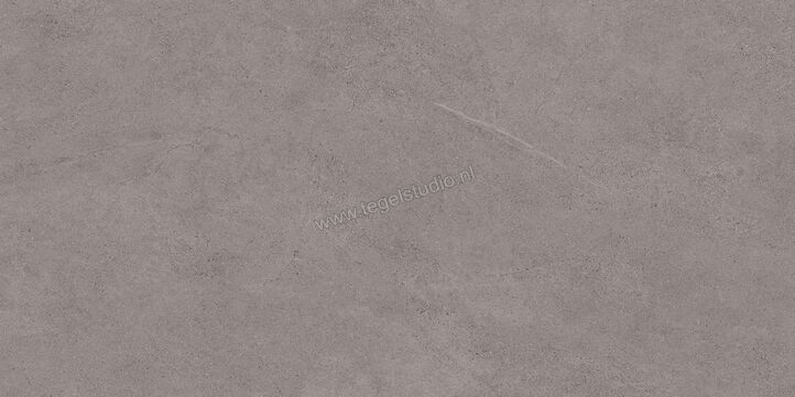 Margres Concept Grey 45x90 cm Vloertegel / Wandtegel Mat Vlak Naturale 49CT4NR | 58155