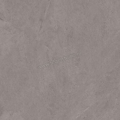 Margres Concept Grey 60x60 cm Vloertegel / Wandtegel Mat Vlak Naturale 66CT4NR | 58170
