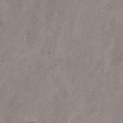 Margres Concept Grey 60x60 cm Vloertegel / Wandtegel Mat Vlak Naturale 66CT4NR | 58278