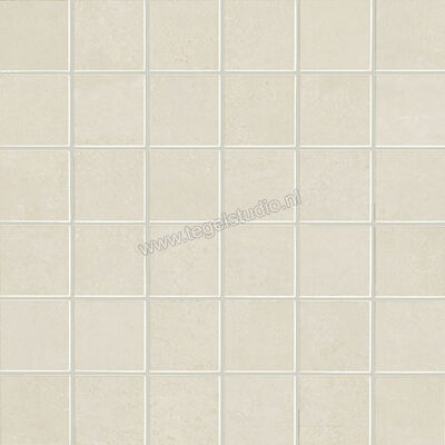 Novabell Oxy Beige 30x30 cm Mozaiek 5X5 Mat Vlak Naturale FRY445N | 70707