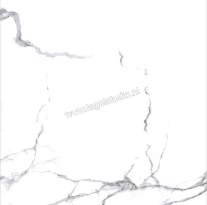 Enmon Calacata Weiß 100x100 cm Vloertegel / Wandtegel Glanzend AC90000 | 81557