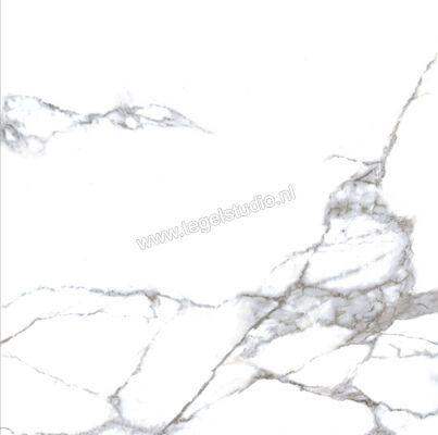 Enmon Calacata Weiß 100x100 cm Vloertegel / Wandtegel Glanzend AC90000 | 81560