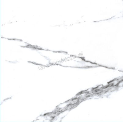 Enmon Calacata Weiß 100x100 cm Vloertegel / Wandtegel Glanzend AC90000 | 81563