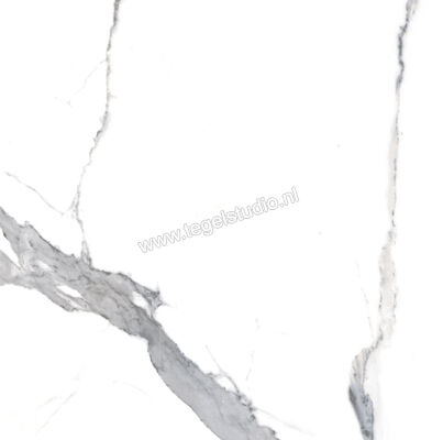 Enmon Calacata Weiß 100x100 cm Vloertegel / Wandtegel Glanzend AC90000 | 81566