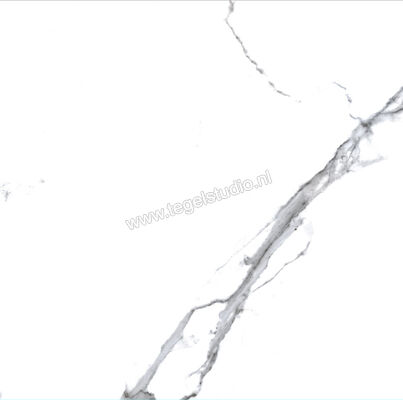 Enmon Calacata Weiß 100x100 cm Vloertegel / Wandtegel Glanzend AC90000 | 81569