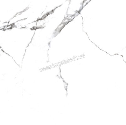 Enmon Calacata Weiß 100x100 cm Vloertegel / Wandtegel Glanzend AC90000 | 81572