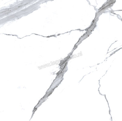 Enmon Calacata Weiß 100x100 cm Vloertegel / Wandtegel Mat AC90001 | 81581