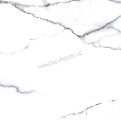 Enmon Calacata Weiß 100x100 cm Vloertegel / Wandtegel Mat AC90001 | 81584