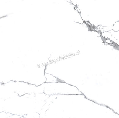 Enmon Calacata Weiß 100x100 cm Vloertegel / Wandtegel Mat AC90001 | 81587