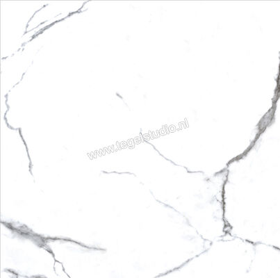 Enmon Calacata Weiß 100x100 cm Vloertegel / Wandtegel Mat AC90001 | 81590
