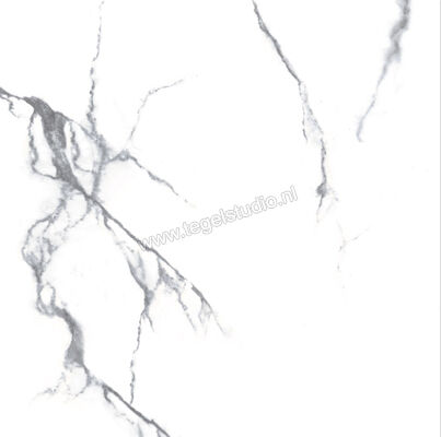 Enmon Calacata Weiß 100x100 cm Vloertegel / Wandtegel Mat AC90001 | 81596