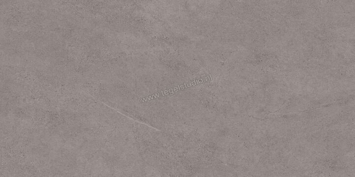 Margres Concept Grey 45x90 cm Vloertegel / Wandtegel Glanzend Vlak A 49CT4A | 99499