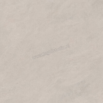 Margres Concept Light Grey 60x60 cm Vloertegel / Wandtegel Glanzend Vlak A 66CT3A | 99658