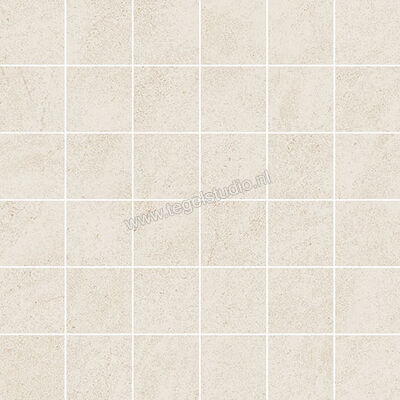 Margres Concept White 5x5 cm Mozaiek Glanzend Vlak A M33CT1A | 99721